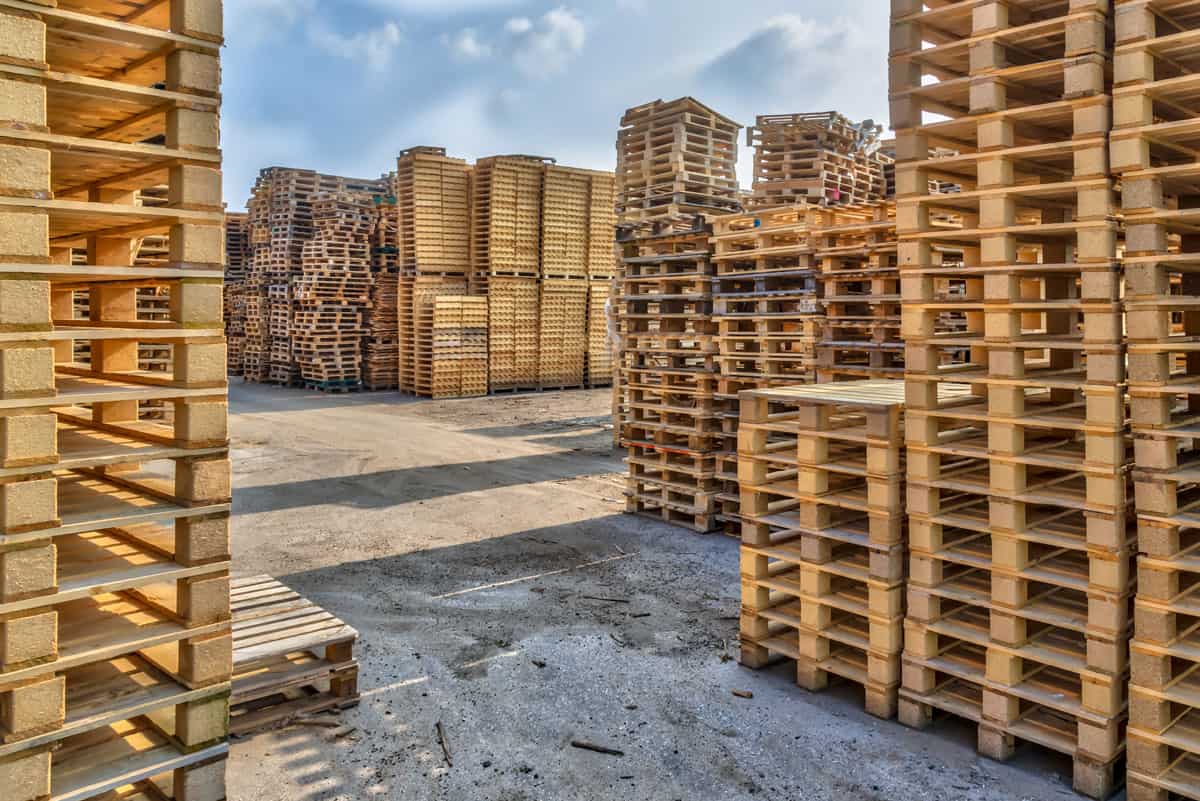 Piles of pallets stacked on top of each other in multiple piles outdoors. There are many different sizes including standard pallet size UK 